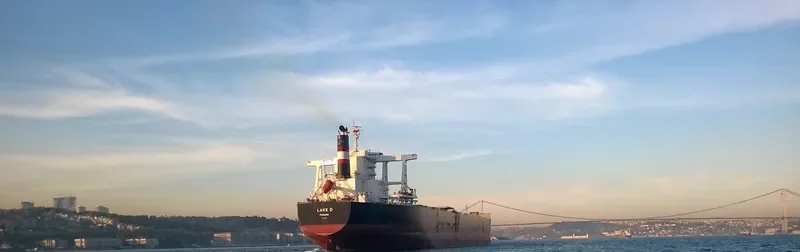 LAKE D Bulk Carrier IMO 9590840 photo 3