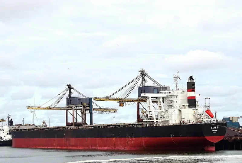 LAKE D Bulk Carrier IMO 9590840 photo 8