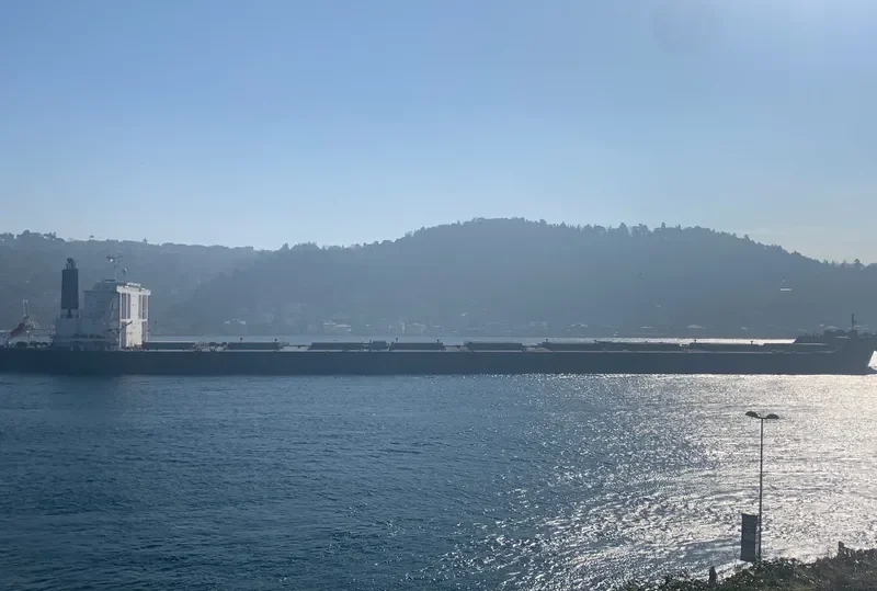 BERGE MCCLINTOCK Bulk Carrier IMO 9590852 photo 9