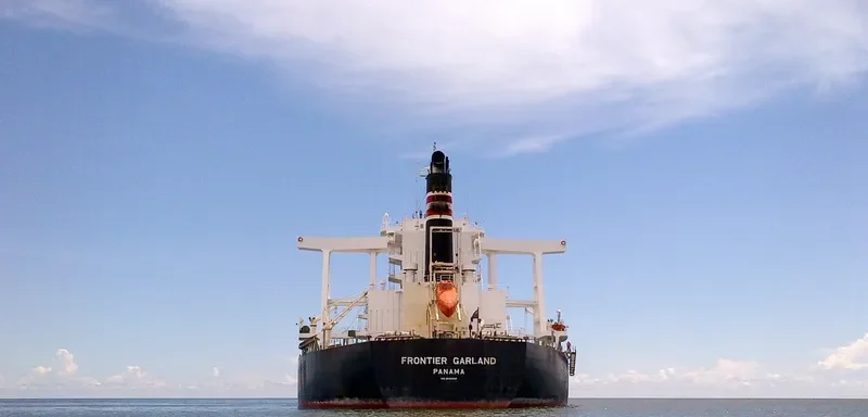 FRONTIER GARLAND Bulk Carrier IMO 9590890 photo 4