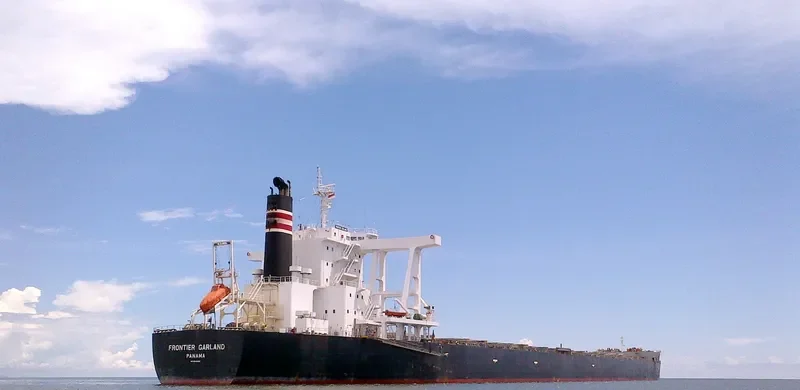 FRONTIER GARLAND Bulk Carrier IMO 9590890 photo 5