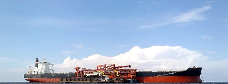 FRONTIER GARLAND Bulk Carrier IMO 9590890 photo 7