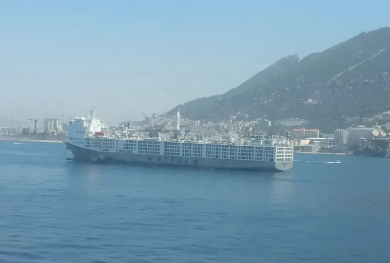 OCEAN SHEARER General Cargo IMO 9590931