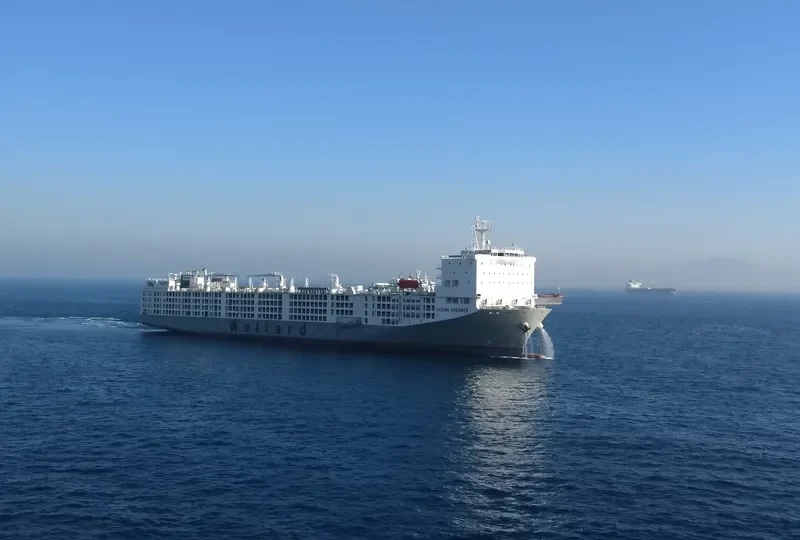 OCEAN SHEARER General Cargo IMO 9590931 photo 3