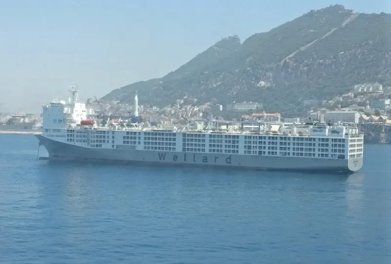 OCEAN SHEARER General Cargo IMO 9590931 photo 6