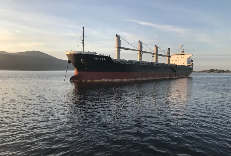 IRMGARD Bulk Carrier IMO 9590967