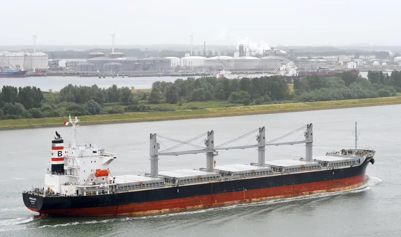 IRMGARD Bulk Carrier IMO 9590967 photo 5