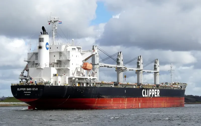 OCEAN BARI STAR Bulk Carrier IMO 9590979 photo 7