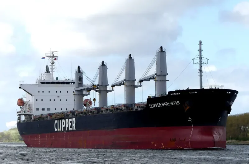 OCEAN BARI STAR Bulk Carrier IMO 9590979 photo 8