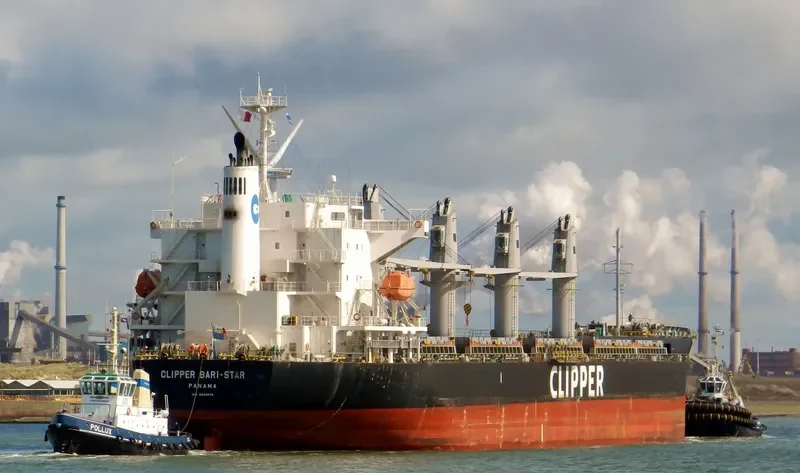 OCEAN BARI STAR Bulk Carrier IMO 9590979 photo 10