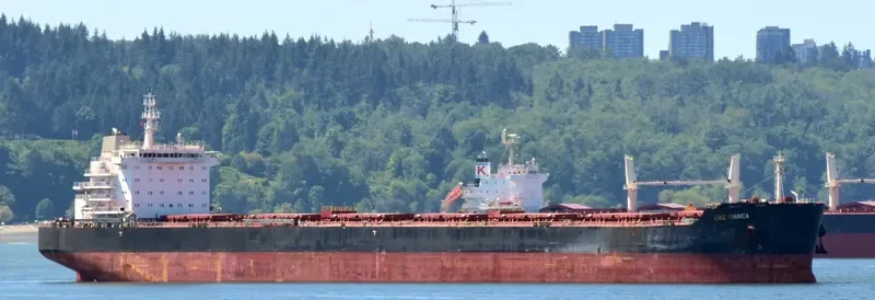 LMZ BIANCA Bulk Carrier IMO 9590981