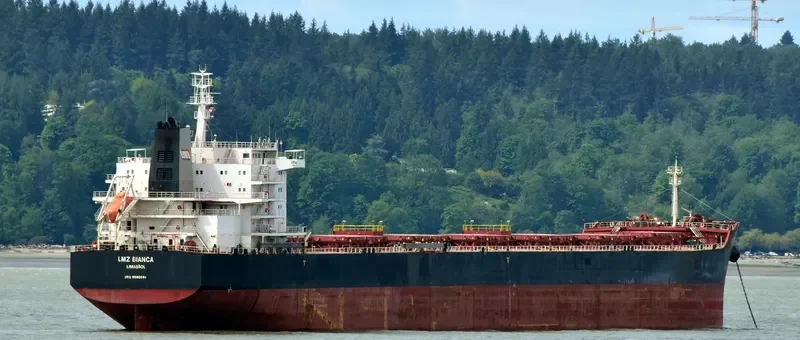 LMZ BIANCA Bulk Carrier IMO 9590981 photo 5