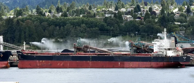 LMZ BIANCA Bulk Carrier IMO 9590981 photo 7