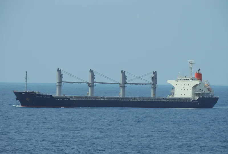 OCEAN VICTORY Bulk Carrier IMO 9591076 photo 3