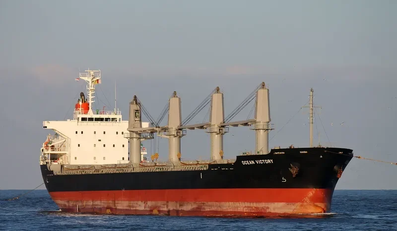 OCEAN VICTORY Bulk Carrier IMO 9591076 photo 6