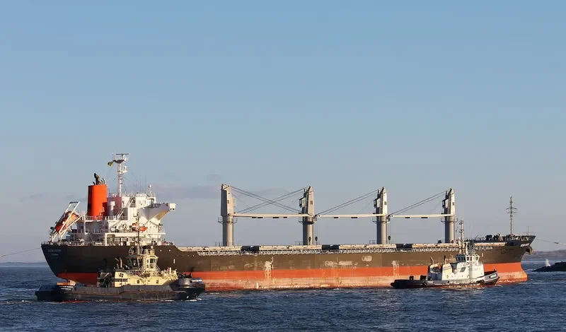 OCEAN VICTORY Bulk Carrier IMO 9591076 photo 8