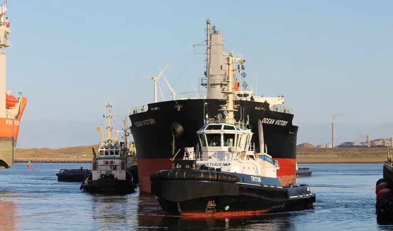 OCEAN VICTORY Bulk Carrier IMO 9591076 photo 9