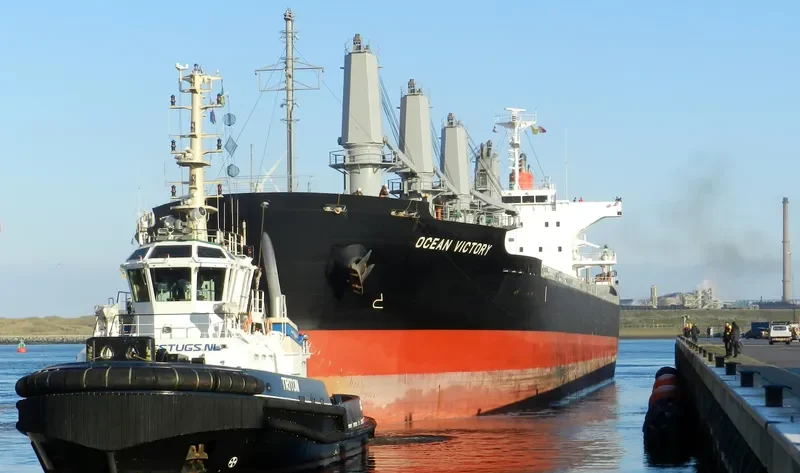 OCEAN VICTORY Bulk Carrier IMO 9591076 photo 10