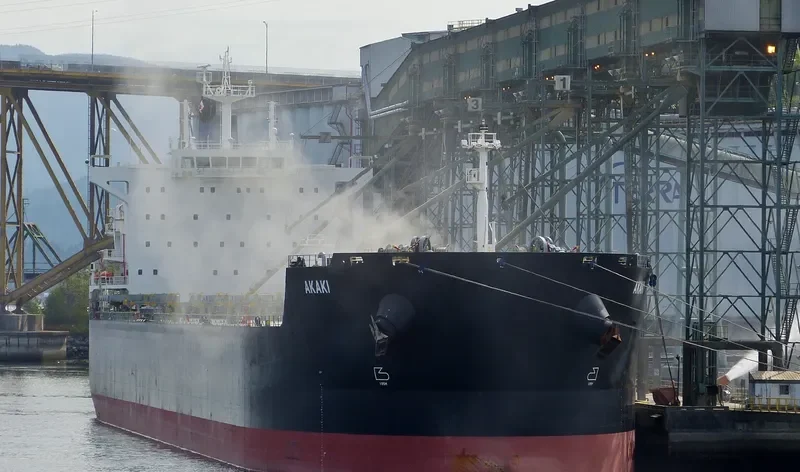 AKAKI Bulk Carrier IMO 9591143 photo 3