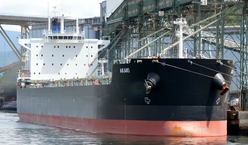 AKAKI Bulk Carrier IMO 9591143 photo 5
