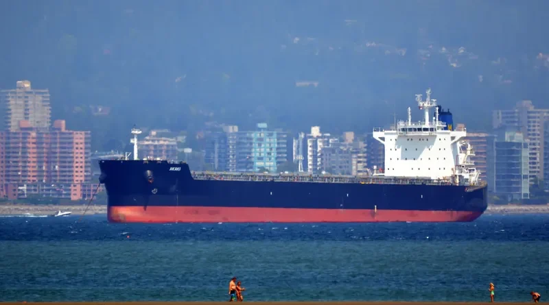 AKAKI Bulk Carrier IMO 9591143 photo 6