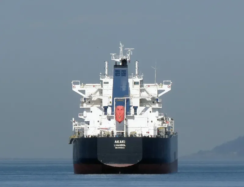 AKAKI Bulk Carrier IMO 9591143 photo 8