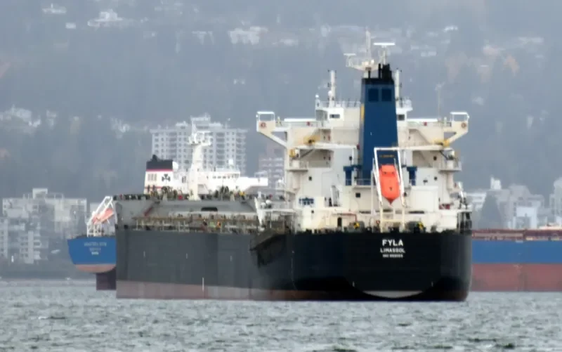 FYLA Bulk Carrier IMO 9591155 photo 5