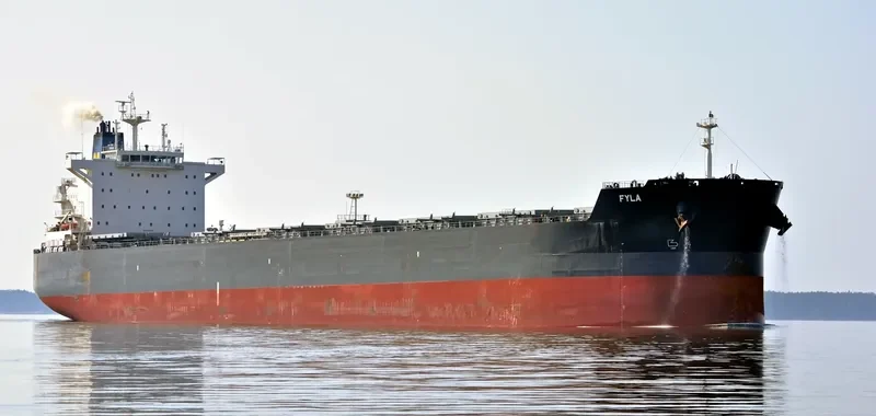 FYLA Bulk Carrier IMO 9591155 photo 9