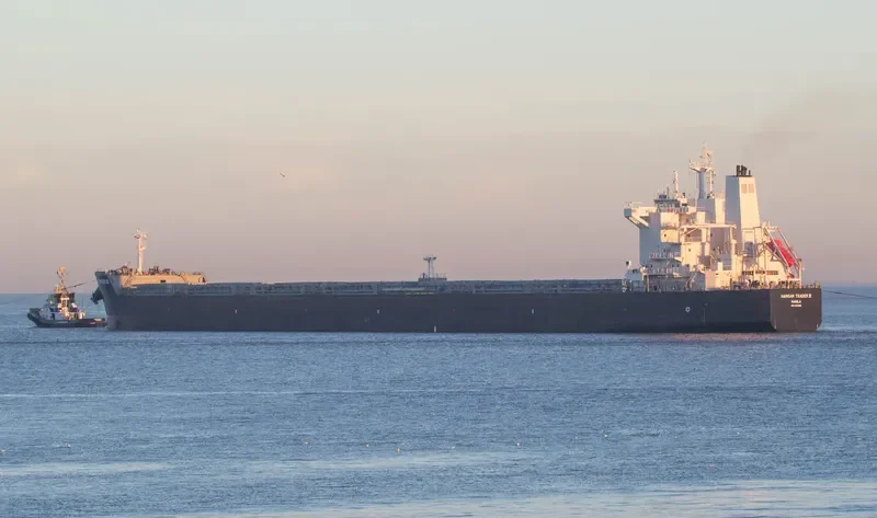 LEDRA Bulk Carrier IMO 9591181 photo 2