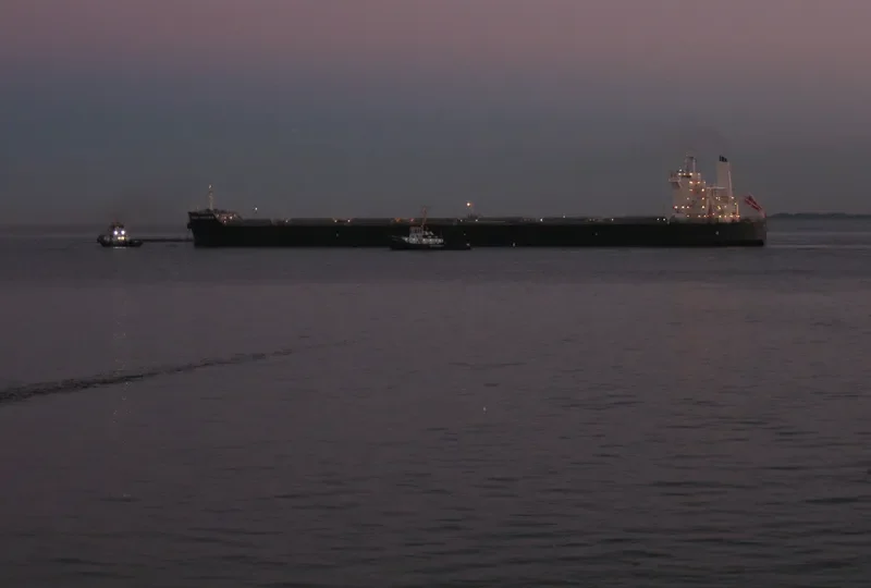 LEDRA Bulk Carrier IMO 9591181 photo 3