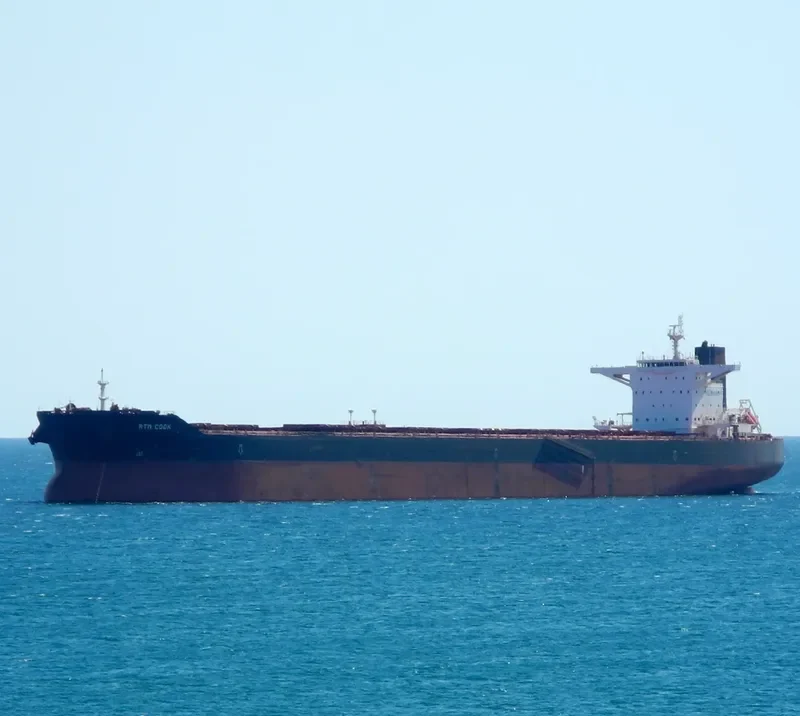 RTM COOK Bulk Carrier IMO 9591301 photo 3