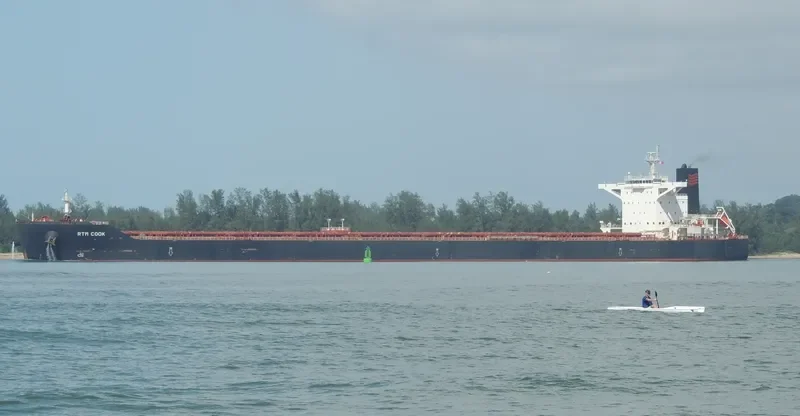 RTM COOK Bulk Carrier IMO 9591301 photo 4
