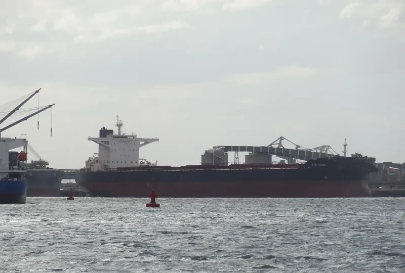 RTM COOK Bulk Carrier IMO 9591301 photo 5
