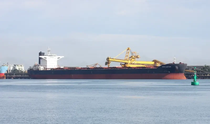 RTM CARTIER Bulk Carrier IMO 9591313