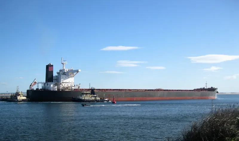 RTM CABOT Bulk Carrier IMO 9591349