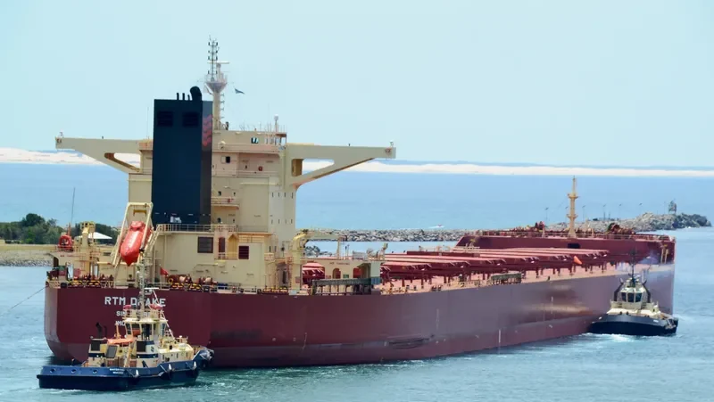 RTM DRAKE Bulk Carrier IMO 9591351 photo 2