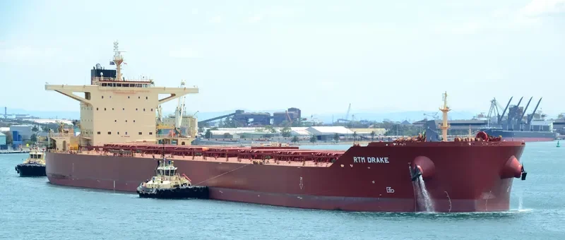 RTM DRAKE Bulk Carrier IMO 9591351 photo 3