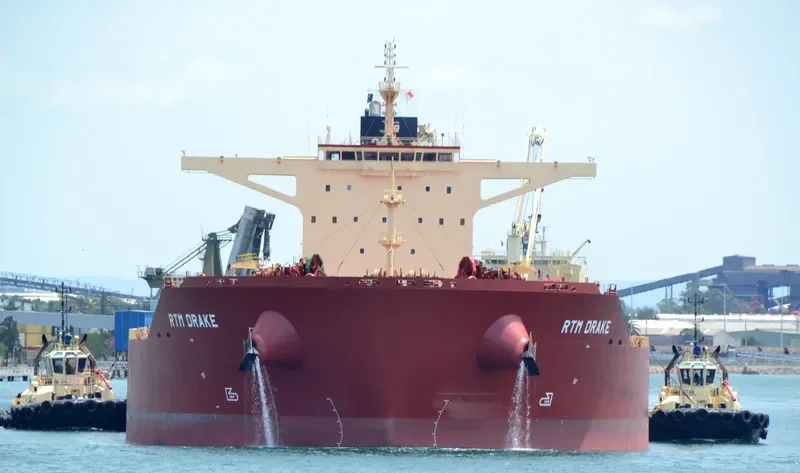 RTM DRAKE Bulk Carrier IMO 9591351 photo 4