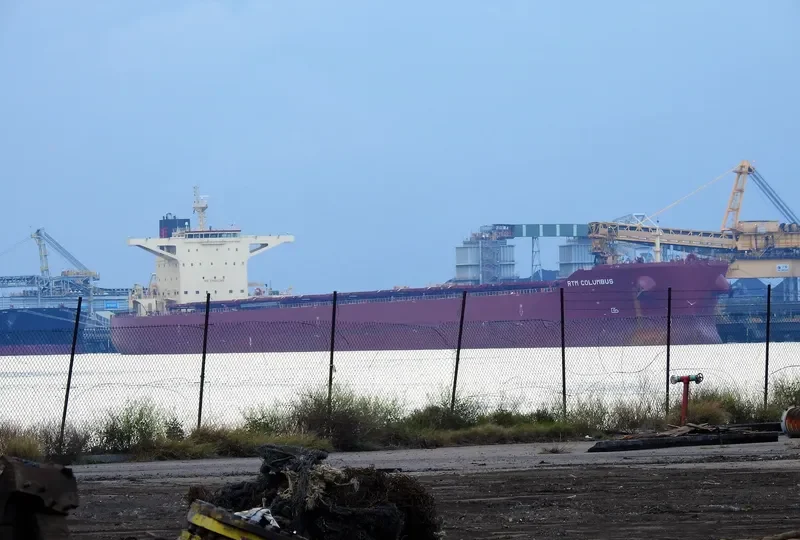 RTM COLUMBUS Bulk Carrier IMO 9591363 photo 10