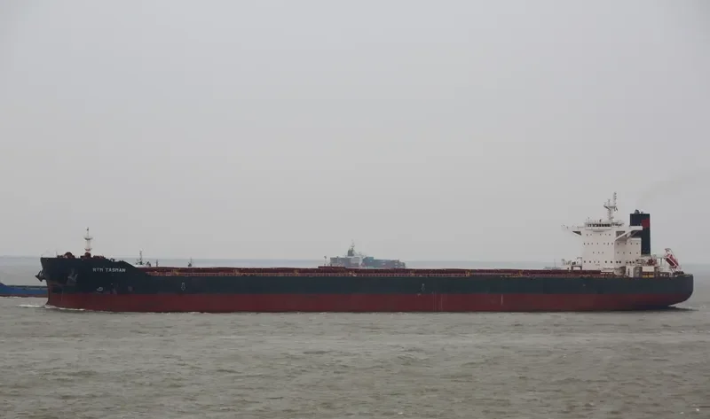 RTM TASMAN Bulk Carrier IMO 9591375 photo 2