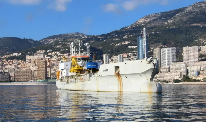 TIGER General Cargo IMO 9591416
