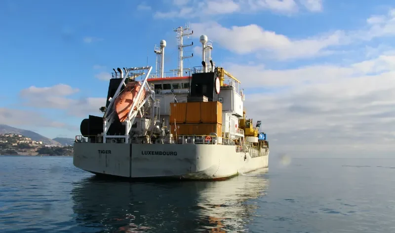 TIGER General Cargo IMO 9591416 photo 2