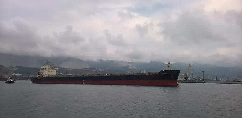 WEI LUN JU LONG Bulk Carrier IMO 9591430 photo 3