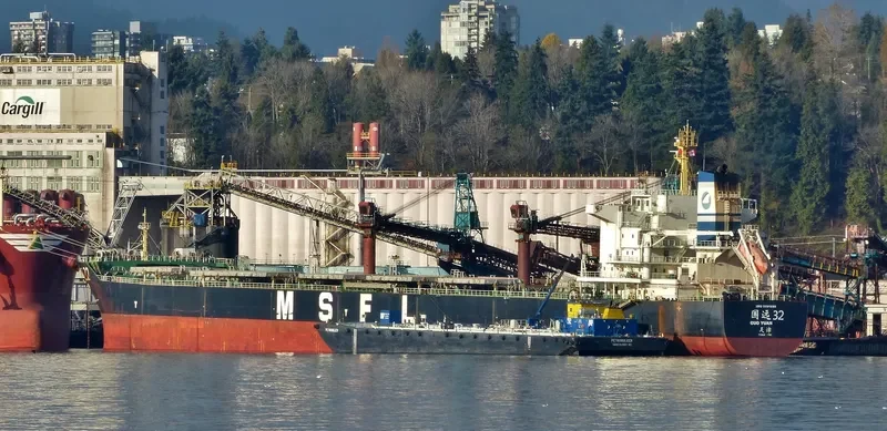 GUO YUAN 32 Bulk Carrier IMO 9591480 photo 4
