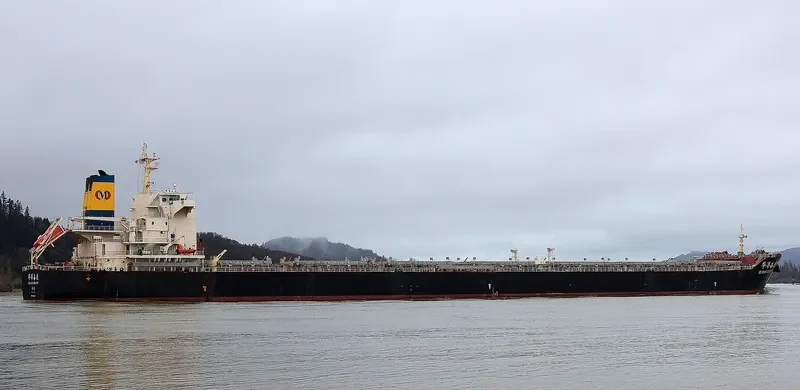 HUAYANG ENDEAVOUR Bulk Carrier IMO 9591492 photo 5