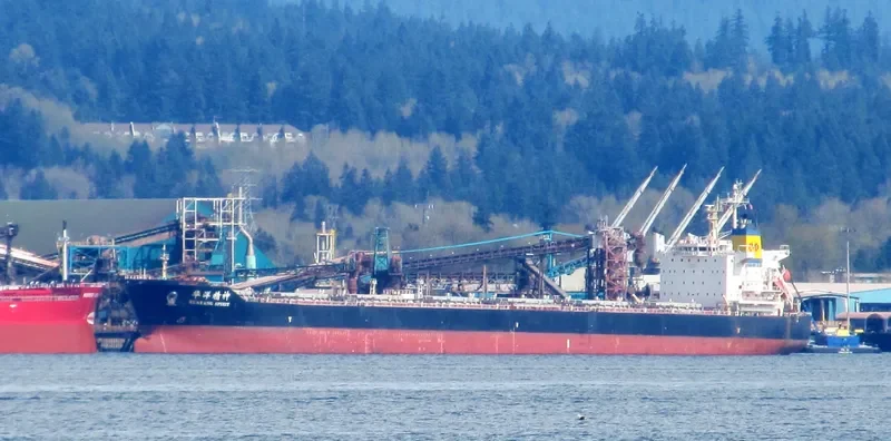 HUAYANG SPIRIT Bulk Carrier IMO 9591507 photo 2