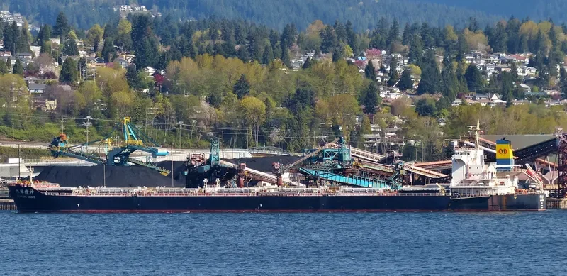 HUAYANG SPIRIT Bulk Carrier IMO 9591507 photo 3