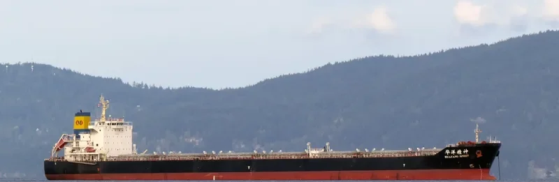 HUAYANG SPIRIT Bulk Carrier IMO 9591507 photo 6