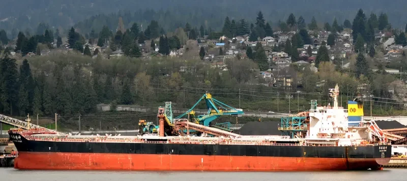 HUAYANG SPIRIT Bulk Carrier IMO 9591507 photo 10