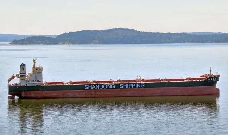 SHANDONG HAI XING Bulk Carrier IMO 9591545 photo 3